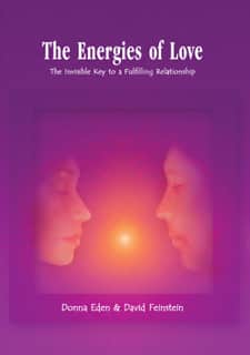 The Energies of Love (DVD)