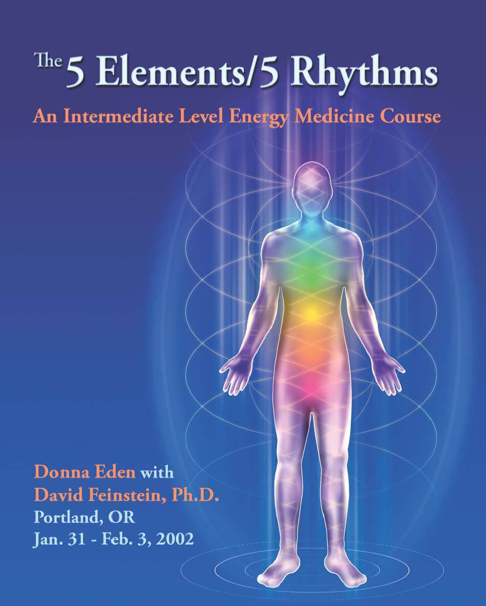 The 5 Elements - 5 Rhythms (3-DVD set)