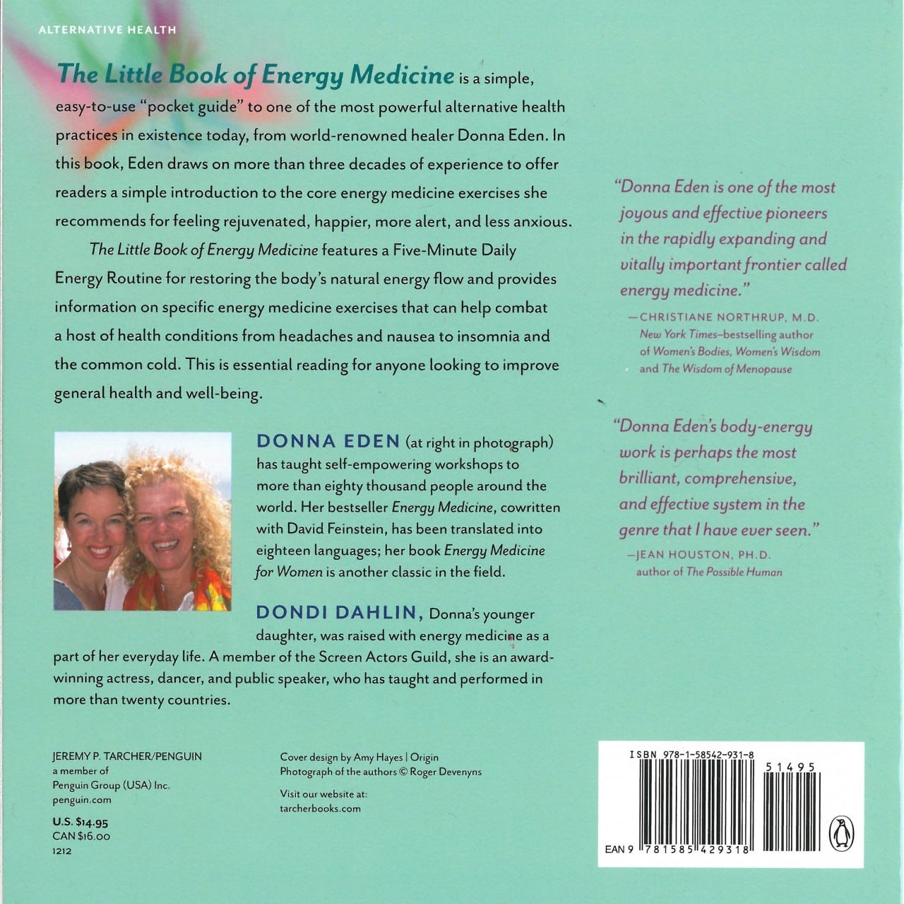 The Little Book of Energy Medicine