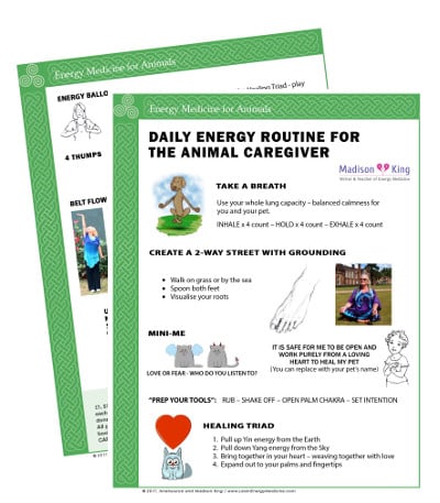 Daily Energy Routine Chart