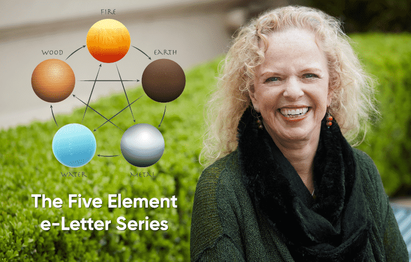 Donna Eden and the Five Elements