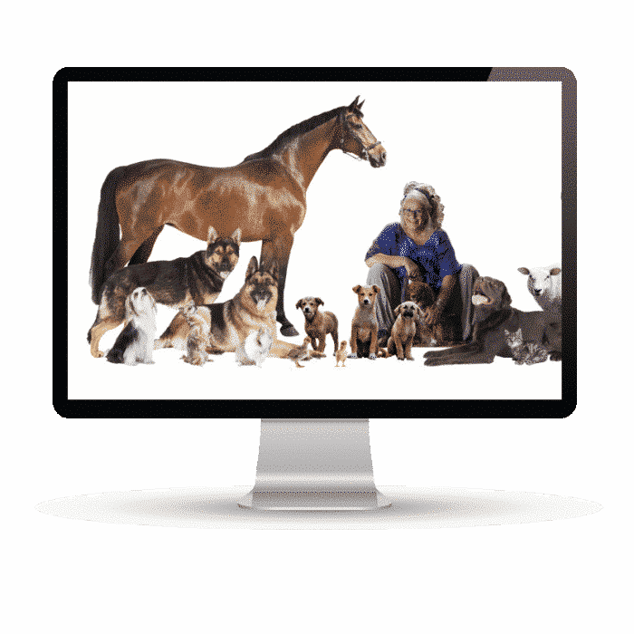 EM for Animals