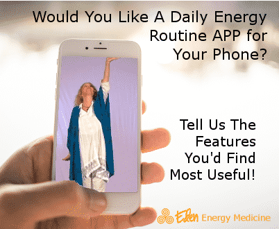 Daily Energy Routine APP