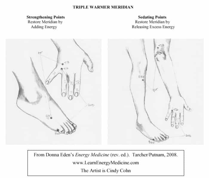 Triple Warmer Meridian Strengthening And Sedating Points Eden Energy